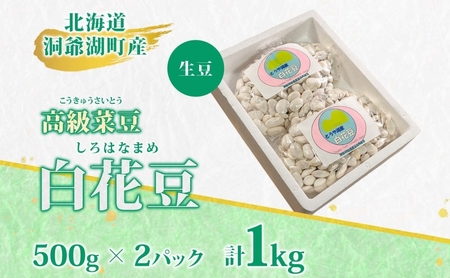 白花豆 北海道 洞爺湖町産 高級菜豆 白花豆【500g×2袋 計1kg】