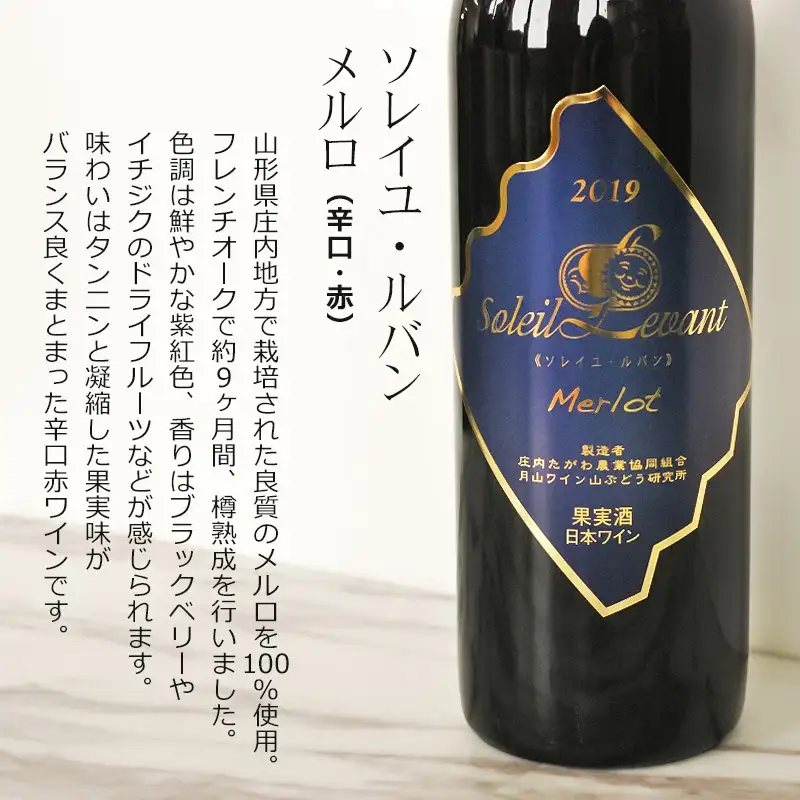 B03-203　庄内の『カベルネソーヴィニヨン』『メルロ』赤ワイン2本セット