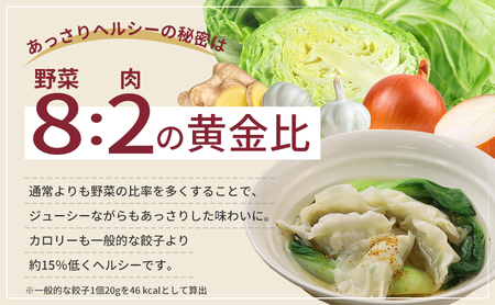 餃子 浜松餃子 160個 知久屋 山盛り セット 餃子