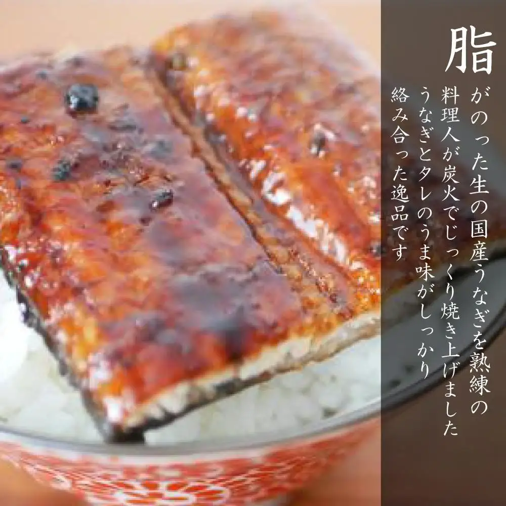 元祖 本吉屋 大川店 老舗のうなぎ蒲焼き 2尾