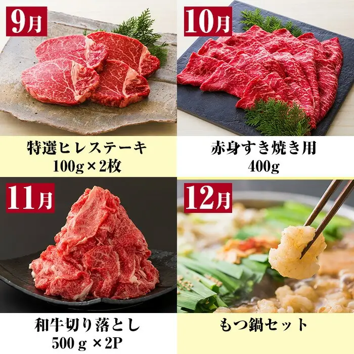 【ふるなびWEEK対象】【12か月定期便】鹿児島県産 黒毛和牛 セット 定期便 12回 黒毛和牛【00-030-13-TKFN】