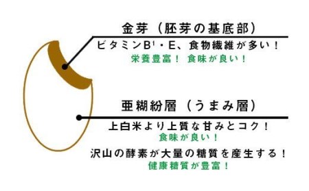 【令和3年産】ほたるの灯り 白米15kg（5kg×3袋）