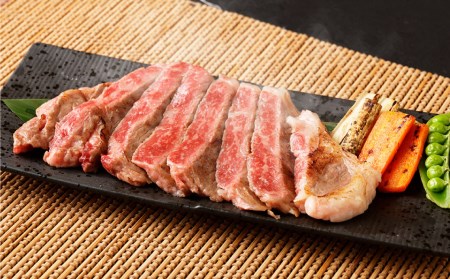 【定期便3ヶ月】あか牛サーロイン肉1kg（5枚～6枚）馬刺し600g （赤身・霜降り・たてがみ） 食べ比べセット