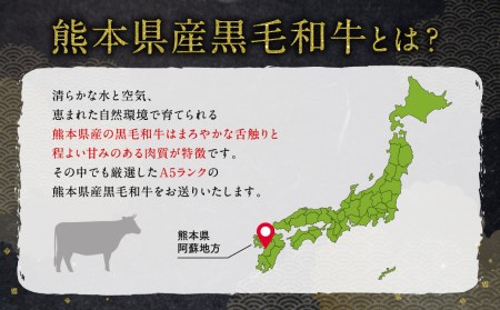【数量限定】【超希少部位】熊本県産 黒毛和牛 A5ランク 高級 ヒレステーキ シャトーブリアン 100g×5枚セット 計500g