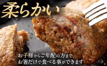 阿蘇プレミアムハンバーグ 150g ×20個 計3kg くまもとあか牛 ハンバーグ