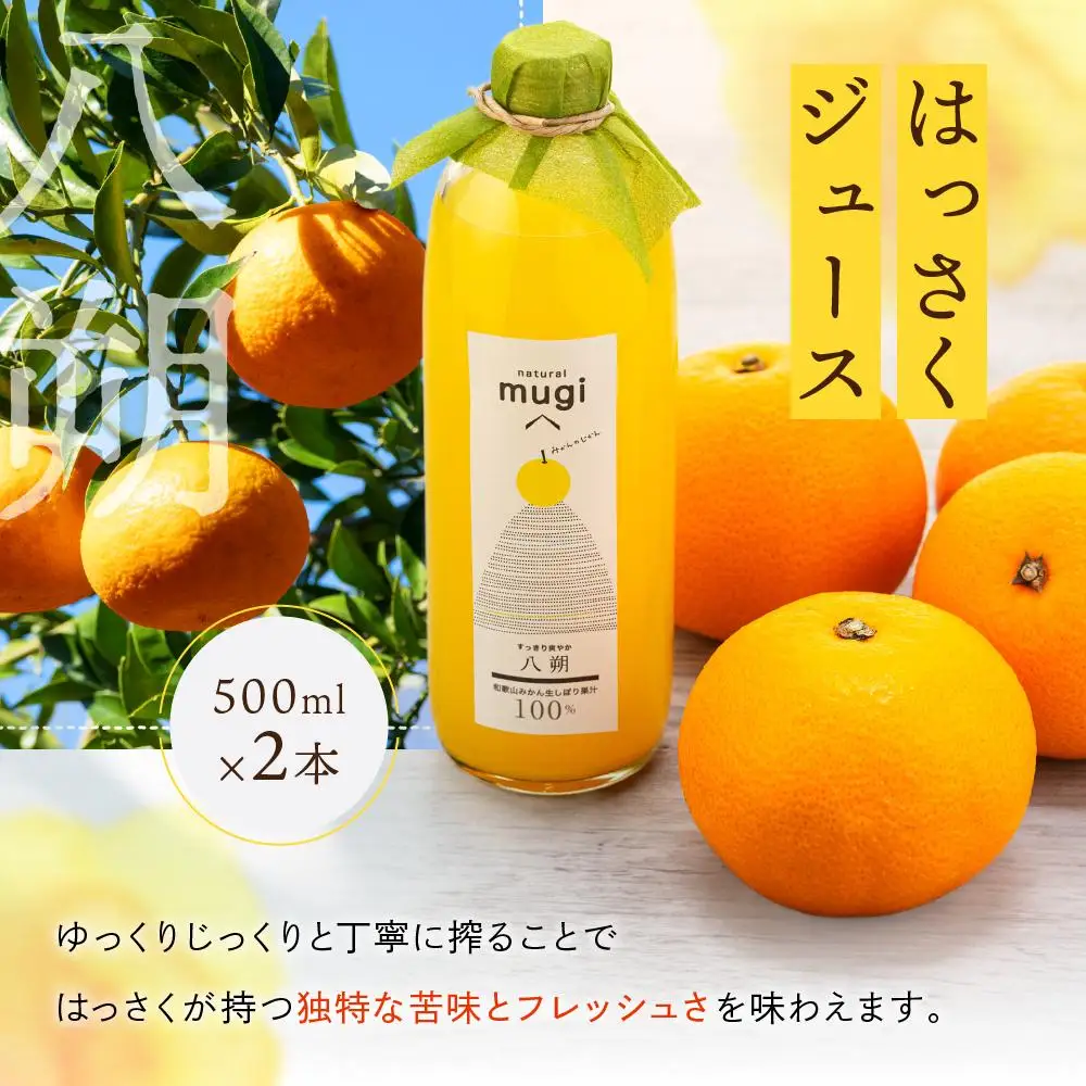 無添加・果汁100％わかやまジュースのじかん　500ｍｌセット