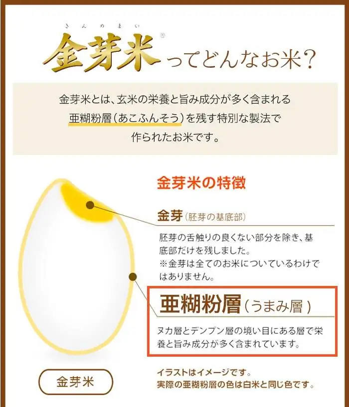 BG 無洗米 金芽米 ベストセレクト10kg 5kg×2 計量カップ付き
