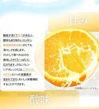 希少な国産バレンシアオレンジ 7kg［ご家庭用訳あり］［2027年6月下旬頃～2027年7月上旬頃に順次発送］［UT77］
