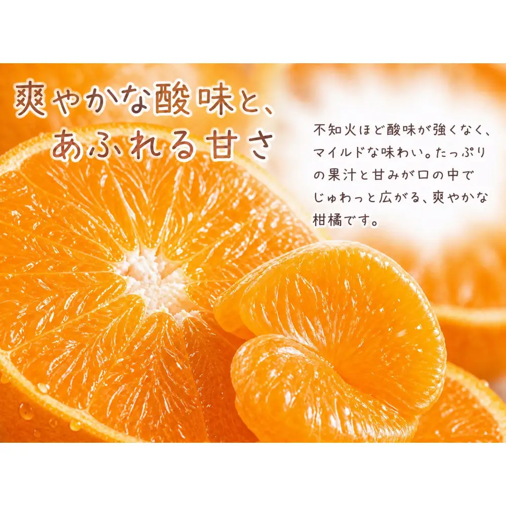 果肉ぷりぷり!完熟はるみ　５ｋｇ［2027年2月上旬頃～2027年2月下旬頃に順次発送］［UT22］