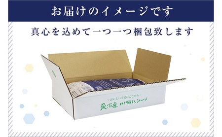 【定期便／12ヶ月】ゆきまち米5kg 極上魚沼産コシヒカリ お米 こしひかり 魚沼産こしひかり