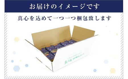 【定期便／3ヶ月】ゆきまち米 2合×10個 極上魚沼産コシヒカリ お米 こしひかり 魚沼産こしひかり