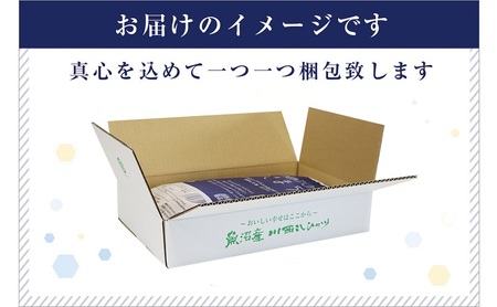 ゆきまち米5kg【極上魚沼産コシヒカリ】 お米 コメ