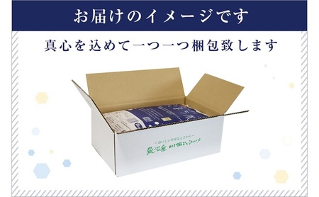 ゆきまち米5kg×2【極上魚沼産コシヒカリ】 お米 コメ
