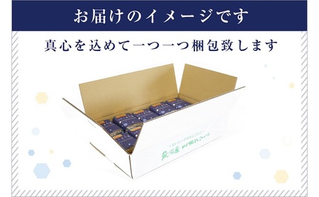 ゆきまち米 2合×10個 【極上魚沼産コシヒカリ】 お米 コメ