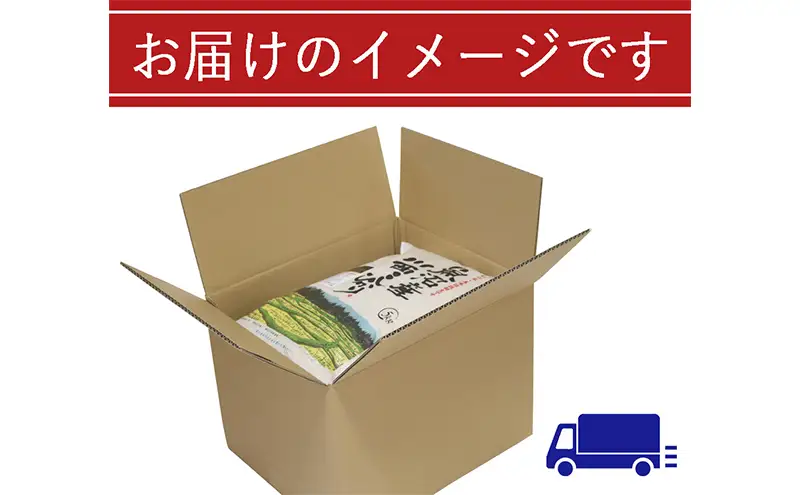魚沼産川西こしひかり5kg×3 