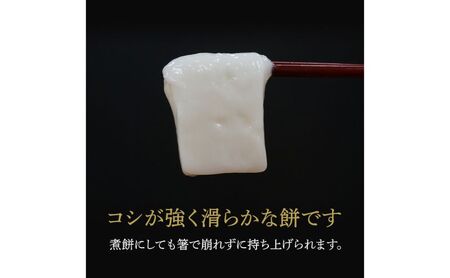 魚沼産こがねもち１００％使用 令和7年産 越路もち500g×2 餅 