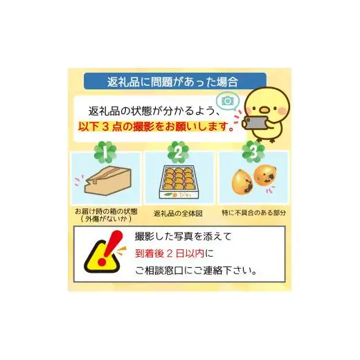 【 期間限定 】びわ 6 ~8個 4 パック 約 1.2kg びわ びわ びわ びわ YN007-2x
