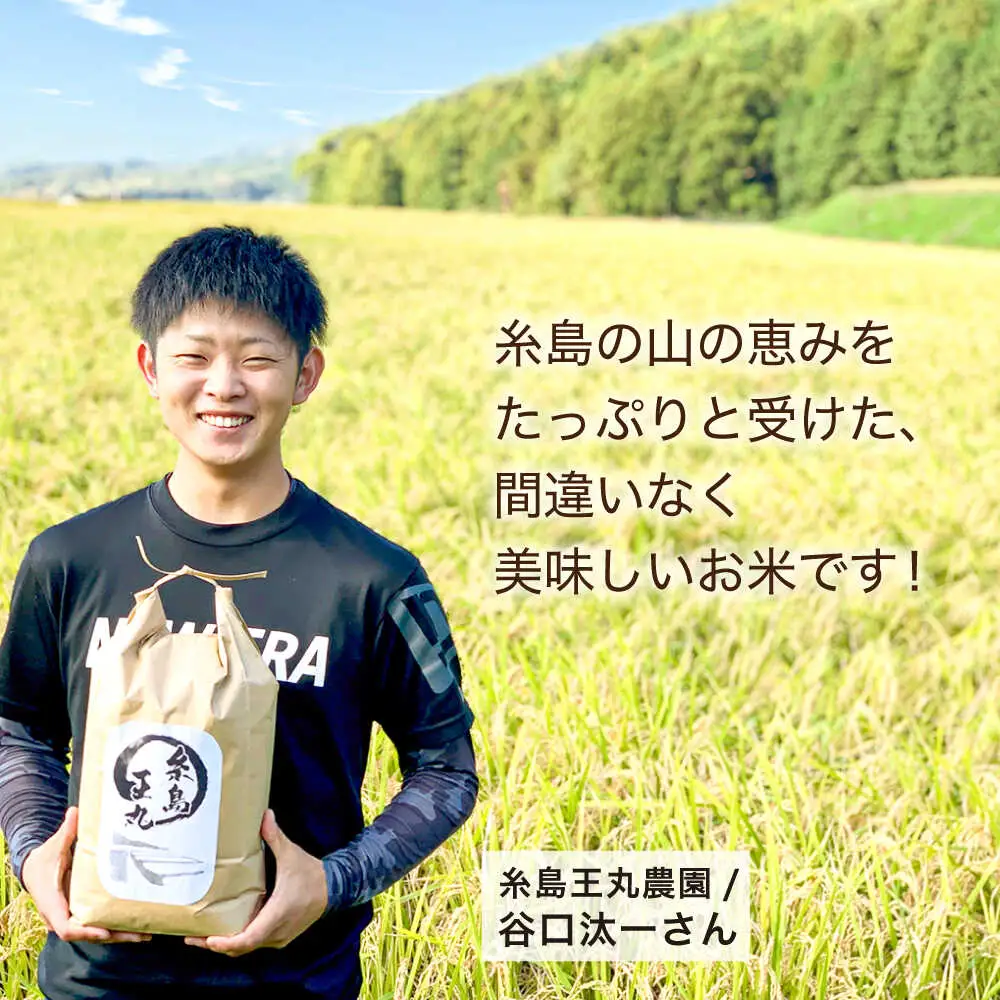 糸島産 ヒノヒカリ 5kg 糸島市 / 糸島王丸農園　( 谷口汰一 )【いとしまごころ】 [AAZ010]