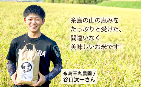 【全12回定期便】糸島産 ヒノヒカリ 5kg×12回  糸島市 / 糸島王丸農園 ( 谷口汰一 )【いとしまごころ】 [AAZ013]