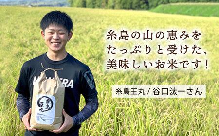糸島産 ヒノヒカリ 10kg  糸島市 / 糸島王丸農園 ( 谷口汰一 )【いとしまごころ】 [AAZ014]