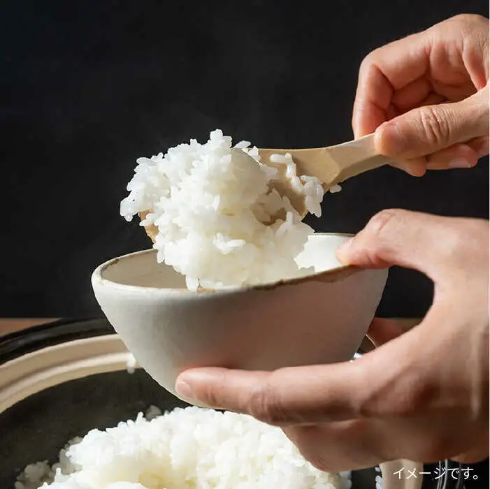 【 6回 定期便 】とくべつ の中の とくべつ 糸島 特別栽培米 3kg （ コシヒカリ ）《 糸島 》【株式会社やました】 [ARJ002]