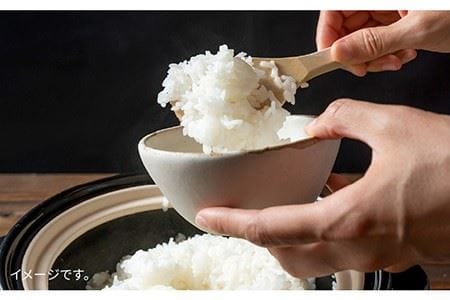 【 6回 定期便 】 糸島 で 農薬 を使わずに育てた山つき 糸島米 3kg （ コシヒカリ ）《 糸島 》【株式会社やました】 [ARJ013]