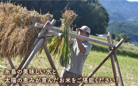 ＼令和6年産／糸島産 餅米 10kg 自然栽培 天日干し 糸島市 / 大石ファーム [ATE006]