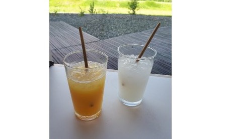 大麦ストロー「すとろーている」、ケース入り茶色 天然素材 エコ ストロー 大麦 すとろーている 20本 ケース入り 選べる 栽培期間中農薬不使用 SDGs 土に還る 脱プラ 脱プラスチック インテリア おしゃれ 環境保全 人気 自然 CC-0002_1