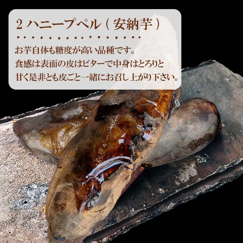 『先行予約』【11月上旬より順次発送】冷凍焼き芋 ハニープぺル(安納芋) 計1.2kg 桃山天下芋本舗
