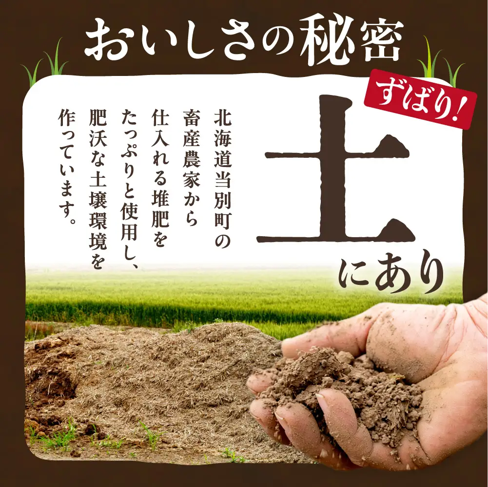 【令和9年度先行受付】生にんにく（福地ホワイト六片種）1.5kg（15個～25個程度）