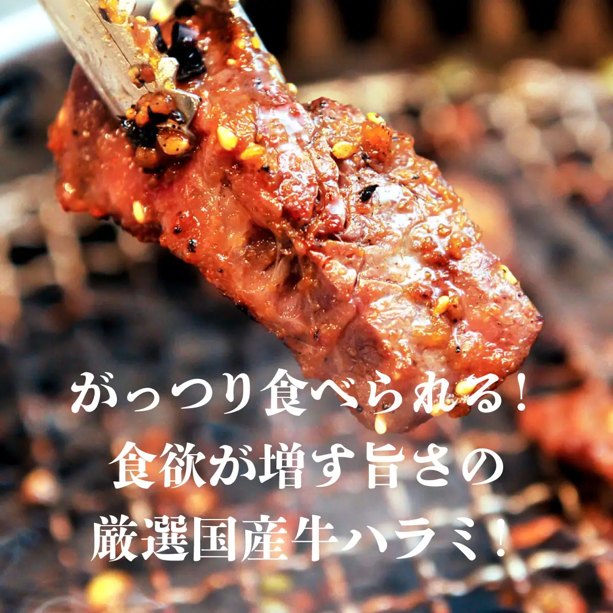ヤマジュウの特選タレ漬け！和牛ハラミ肉５００g＆国産牛ホルモン３００ｇ