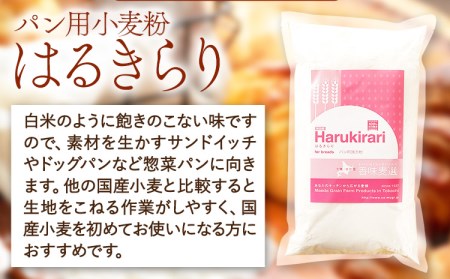 北海道十勝前田農産パン用小麦粉「はるきらり」(1kg×10袋) 有限会社 十勝太陽ファーム 送料無料 北海道 本別町《60日以内に出荷予定(土日祝除く)》小麦粉小麦粉小麦粉小麦粉小麦粉