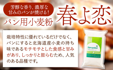 3ヶ月定期便 北海道十勝前田農産パン用小麦粉「春よ恋」5kg【3ヶ月】有限会社 十勝太陽ファーム 《お申込み月の翌月から出荷開始》小麦粉小麦粉小麦粉小麦粉小麦粉
