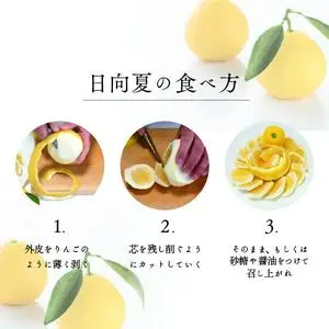 【先行受付】初春の旬「日向夏」種あり 5kg 果物 フルーツ くだもの 柑橘 フルーツサンド おやつ スイーツ デザート ジャム おすすめ ギフト 贈り物 贈答 プレゼント おすそ分け お返し 宮崎県 綾町 送料無料【JA綾町】_A0114-2481