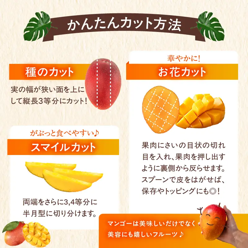 【先行予約/数量限定】完熟マンゴー 2L×2玉（パック）/ 宮崎県産 マンゴー【JA綾町】_A0114-1021