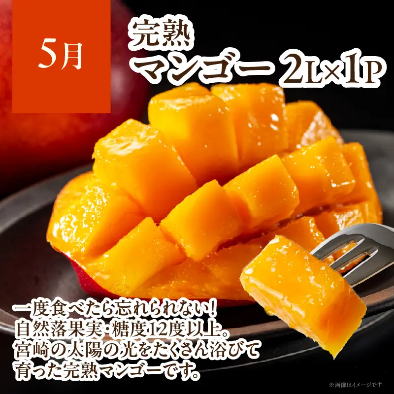 【4ヶ月定期便】 JA綾町 いつでもフルーツ定期便 《きんかん／日向夏／マンゴー／ライチ》 果物 フルーツ くだもの 柑橘 完熟きんかんたまたま 種なし 完熟マンゴー おすすめ おすそ分け おやつ スイーツ デザート 常温 産地直送 宮崎県 綾町 送料無料【JA綾町】_A0114-2621