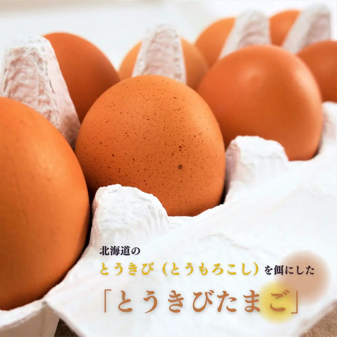北海道産たまごを食べ比べ「とうきびたまご３種」６個入×４パック　酒井農場