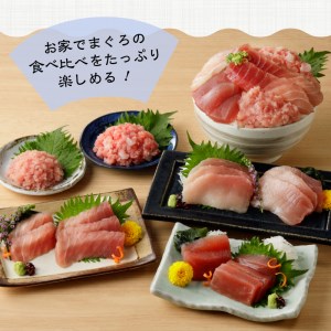マグロ 中トロ 赤身 ねぎとろ S6 (a20-365)