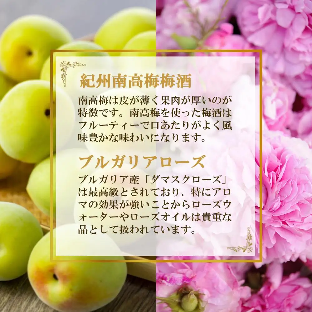 バラ梅酒スパークリング梅酒720ｍｌ