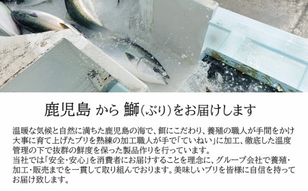 AQ-4707-202605／【鹿児島産ぶり】冷凍・ぶり皮無ロイン（背腹計2p）
