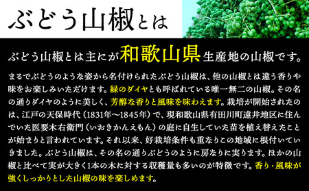 ぶどう山椒の佃煮 1袋 100g 株式会社しおん 《90日以内に出荷予定(土日祝除く)》 和歌山県 紀の川市 st-p