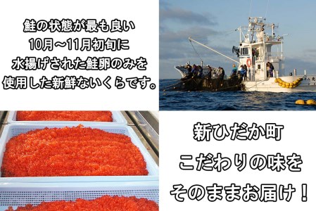 北海道産 網元特製 塩いくら 鮭卵 100g