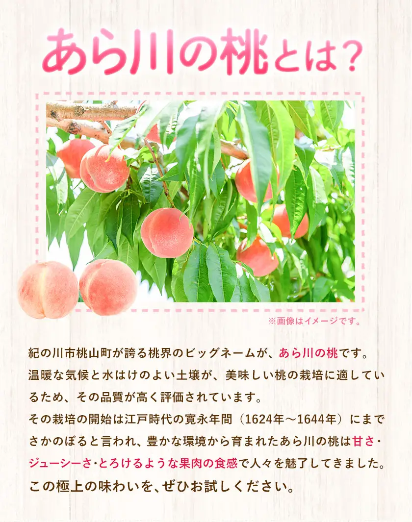 あら川の桃 秀品 約1.5kg (4玉～6玉)