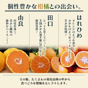 【8回 頒布会】みかん 柑橘類 定期便 彩り柑橘 8回 フルーツ フジカワ果樹園セレクト 果物 温州みかん 石地みかん 中晩柑 はれひめ 讃岐しらぬひ はるか レモン セミノール 甘夏柑 甘い 8ヶ月 