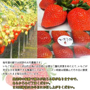 ＜イチゴ「かおり野」贈答用 4パック 大竹農園直送＞ いちご 苺 ギフト 果物 フルーツ お取り寄せ 朝摘み 朝採れ プレゼント 贈り物 お礼 お祝い 特産品 愛媛県 西予市【冷蔵】『2025年12月～2026年4月中旬迄に順次出荷予定』UON0004