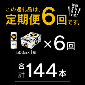 【定期便6回】黒ラベルビール 500ml×1箱(24缶) (T0083-2106)