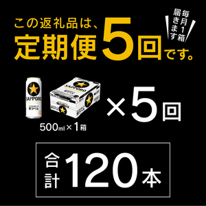 【定期便5回】黒ラベルビール 500ml×1箱(24缶) (T0083-2105)