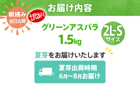 数量限定 訳あり 規格外 アスパラ 2L～Sサイズ 1.5kg 朝採り 直送 夏芽 グリーンアスパラガス 朝採れ 先行予約 【2026年6月から8月お届け】 BT08