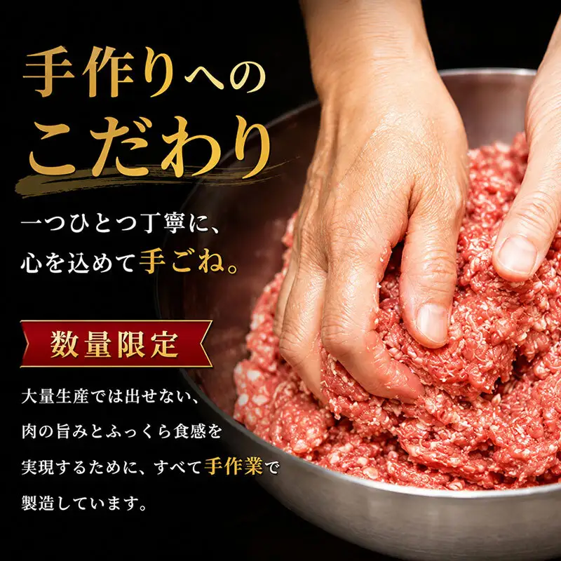 ふるさと納税　飛騨牛 ハンバーグ ロースバーグ 150g×5枚 計750g  和牛 