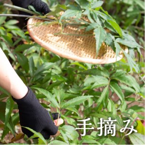 神の山参茶_B007-002